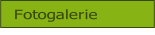 Fotogalerie.